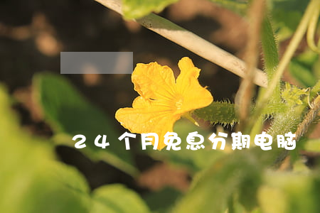 24个月免息分期电脑