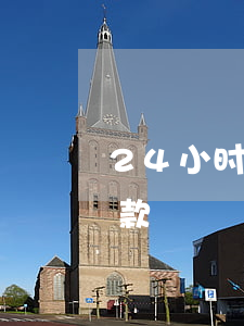 24小时免息分期视频(24期免息是怎么付款)