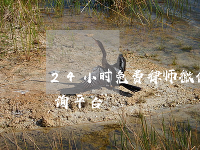 24小时免费律师微信(24小时免费律师咨询平台)