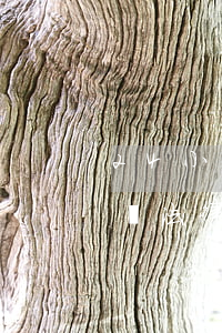 24小時(shí)免費(fèi)法律顧問(法律顧問在線服務(wù))