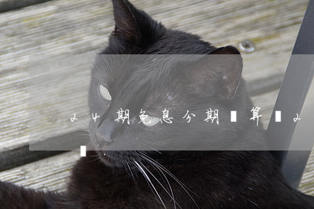 24期免息分期劃算嗎(24期免息分期劃算嗎)