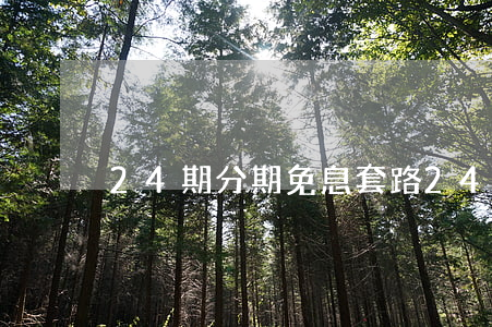 24期分期免息套路（24期分期免息主机）
