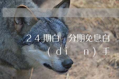 24期白條分期免息 白條24期免息是沒有一點(diǎn)手續(xù)費(fèi)嗎
