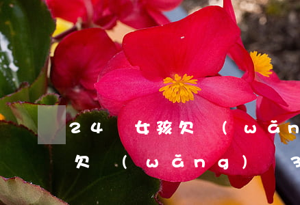 24歲女孩欠網(wǎng)貸3萬(18歲欠網(wǎng)貸3萬)