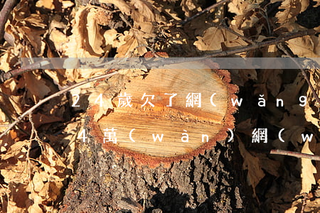 24歲欠了網(wǎng)貸4w怎么辦(欠4萬(wàn)網(wǎng)貸怎么辦)