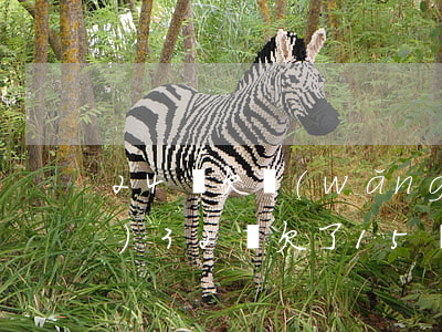 24歲欠網(wǎng)貸幾十萬(wàn)(32歲欠了15萬(wàn)網(wǎng)貸)