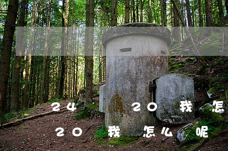 24歲負債20萬我該怎么辦-24歲負債20萬我該怎么辦呢