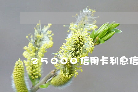25000信用卡利息(信用卡2萬的利息)