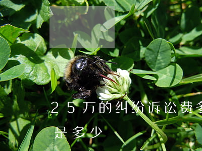 25万的纠纷诉讼费多少(25万元的诉讼费是多少)