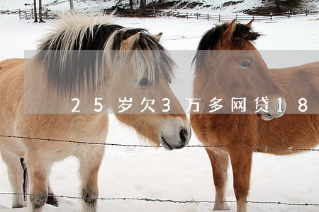 25岁欠3万多网贷(18岁欠网贷3万)