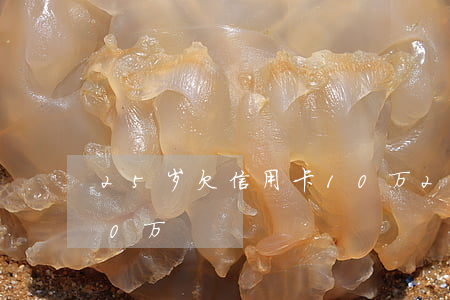 25岁欠信用卡10万(25岁信用卡欠了20万)