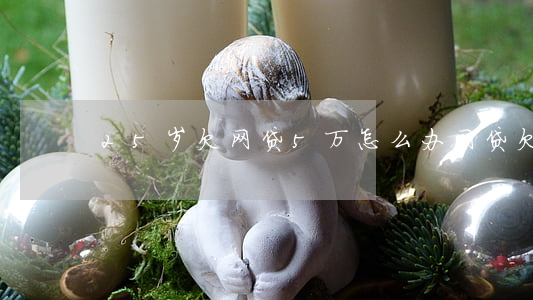 25岁欠网贷5万怎么办(网贷欠款5万)