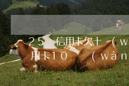 25歲信用卡欠十萬(wàn)-那些欠信用卡10幾萬(wàn)的后來(lái)都怎么樣了