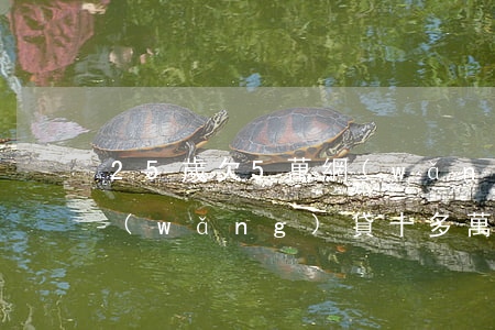 25歲欠5萬網(wǎng)貸(25歲欠網(wǎng)貸十多萬怎么辦)