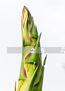 25歲欠6萬網(wǎng)貸怎么辦(欠網(wǎng)貸了5萬)