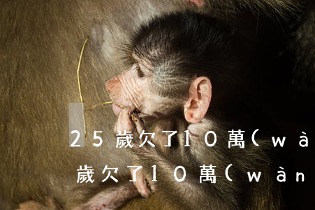 25歲欠了10萬(wàn)怎么辦-25歲欠了10萬(wàn)怎么辦呢