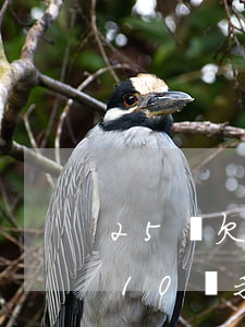 25歲欠債10萬我該怎么辦-25歲欠債10萬我該怎么辦呢
