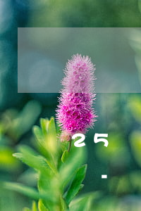 25歲網(wǎng)貸欠4萬還不上怎么辦-