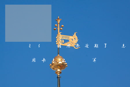25萬信用卡逾期了會怎么樣(欠了25萬信用卡怎么還劃算)