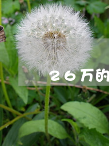 26万的信用卡欠一年利息多少-