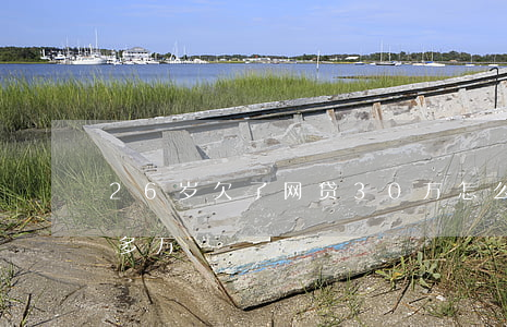 26岁欠了网贷30万怎么偿还(欠网贷30多万)