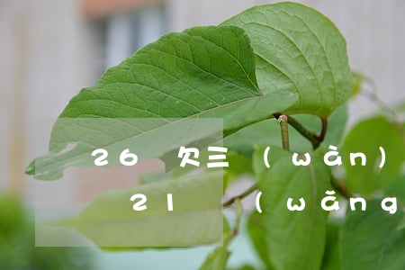 26歲欠三萬(wàn)五網(wǎng)貸(21歲網(wǎng)貸欠了3萬(wàn))