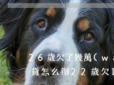 26歲欠了幾萬(wàn)網(wǎng)貸怎么辦(22歲欠15萬(wàn)網(wǎng)貸怎么辦)