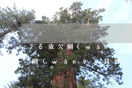 26歲欠網(wǎng)貸太多沒有工作(欠網(wǎng)貸會(huì)不會(huì)丟工作)
