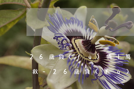 26歲負(fù)債十萬(wàn)怎么自救-26歲負(fù)債10萬(wàn)怎么辦