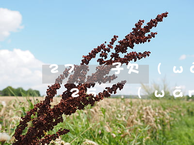 27歲兒子欠網(wǎng)貸十幾萬怎么辦(25歲網(wǎng)貸欠了十幾萬)