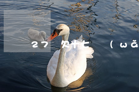 27歲欠十七萬網(wǎng)貸怎么還