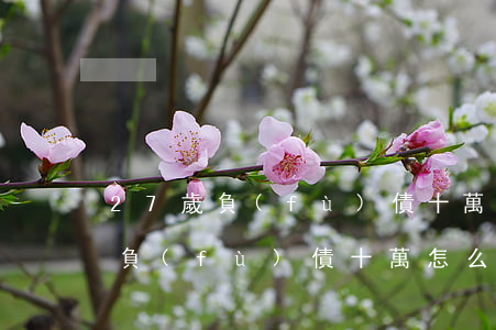 27歲負(fù)債十萬怎么翻身-27歲負(fù)債十萬怎么翻身啊