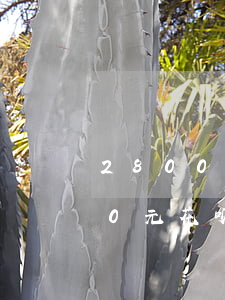 2800元花呗逾期两年了会怎样-2800元花呗逾期两年了会怎样处理呢