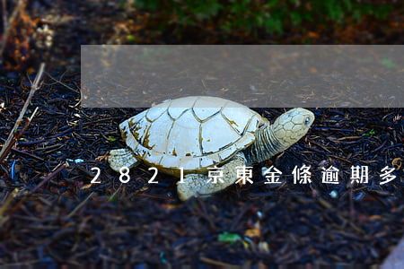 2821京東金條逾期多久會上門