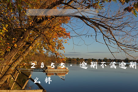 2855.逾期不侯(逾期不还款的后果会怎么样)