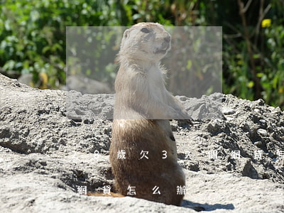28歲欠32個網貸怎么辦(28歲欠32個網貸怎么辦)