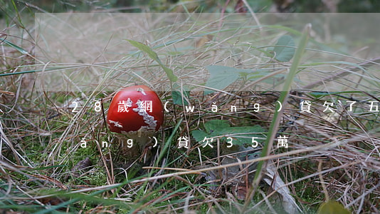28歲網(wǎng)貸欠了五萬多(網(wǎng)貸欠35萬)