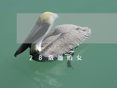 28歲離婚女