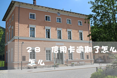 28萬信用卡逾期了怎么辦(欠信用卡28萬怎么辦)