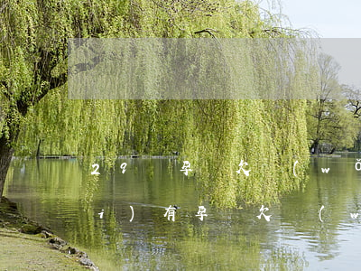 29歲孕婦欠網(wǎng)貸(有沒(méi)有孕婦欠網(wǎng)貸的)