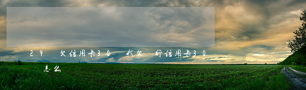 29歲欠信用卡30萬(我欠銀行信用卡30萬怎么辦)