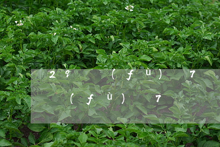 29歲負(fù)債7萬該怎么辦-28歲負(fù)債7萬