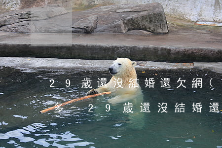 29歲還沒結婚還欠網(wǎng)貸8萬多-29歲還沒結婚還欠網(wǎng)貸8萬多正常嗎