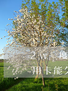 2w額度的信用卡能欠多少錢(2w額度的信用卡能欠多少錢啊)