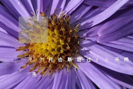 2个月逾期超过90天(两个月逾期超过90天)