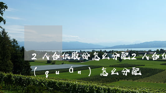 2人合伙股份怎么分配(2人合伙開公司股權(quán)怎么分配)