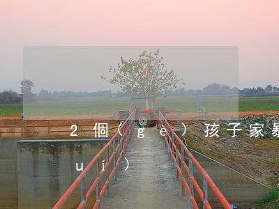 2個(gè)孩子家暴離婚孩子歸誰(shuí)