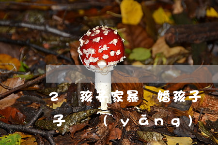 2個孩子家暴離婚孩子歸誰(家暴離婚兩個孩子撫養(yǎng)權(quán)怎么算)