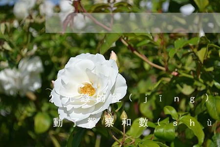 2元錢的經(jīng)濟(jì)糾紛驚動了警察和數(shù)學(xué)老師