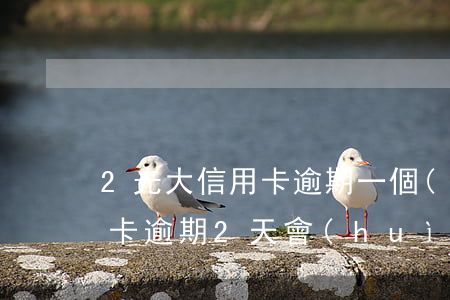 2光大信用卡逾期一個(gè)月(光大信用卡逾期2天會(huì)怎樣)